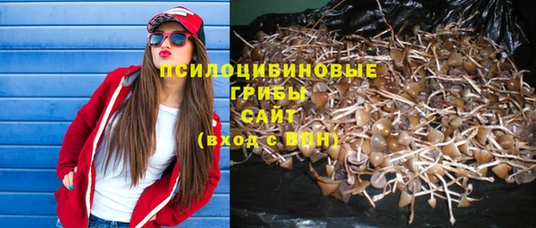 apvp Няндома
