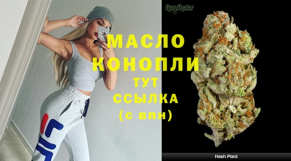 apvp Няндома